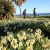 Thumbnail of new posts 195