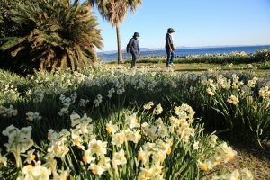 Thumbnail of post image 036